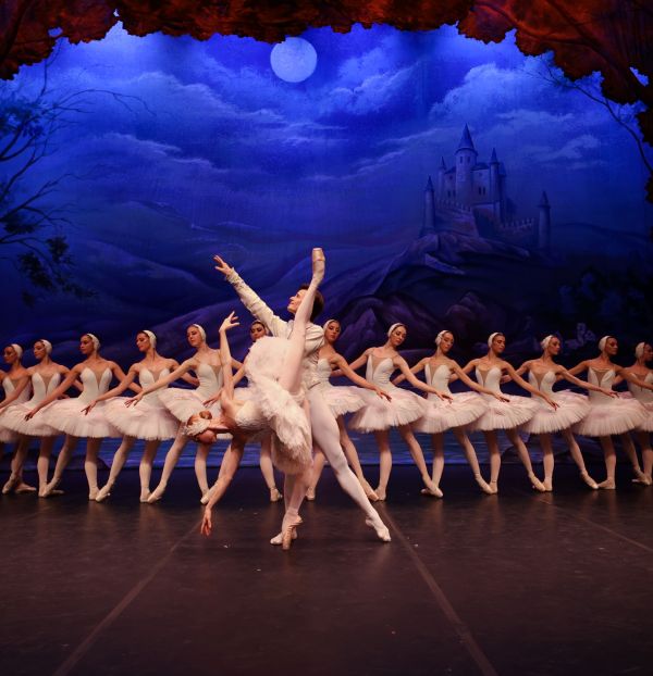 Η Λίμνη των Κύκνων 3