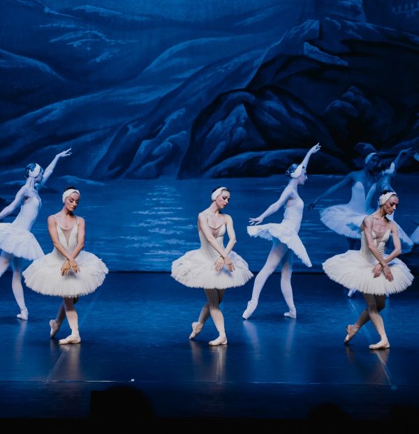 Η Λίμνη των Κύκνων 5