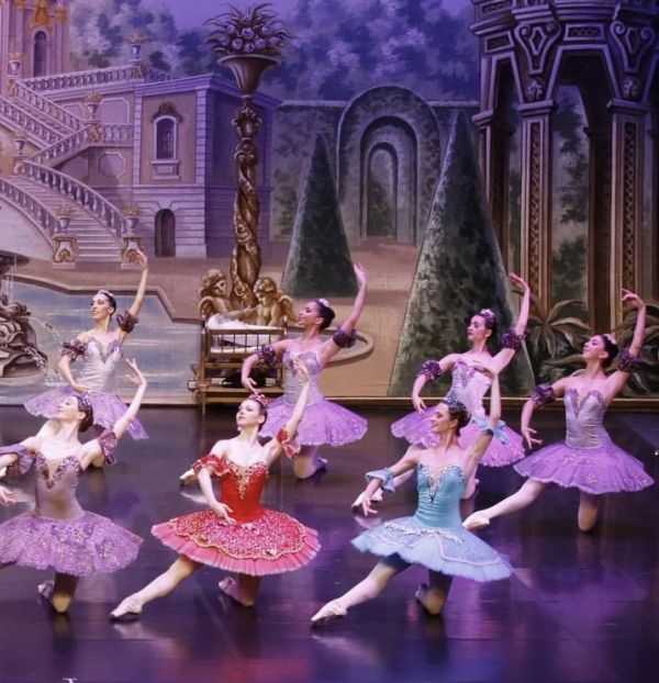 Η Ωραία Κοιμωμένη 6